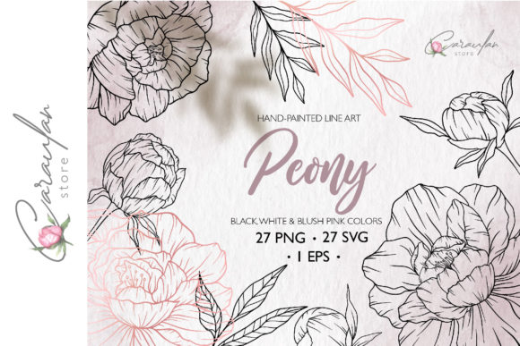 Download Peonies Line Drawing, Floral Line Art - Flora Collection