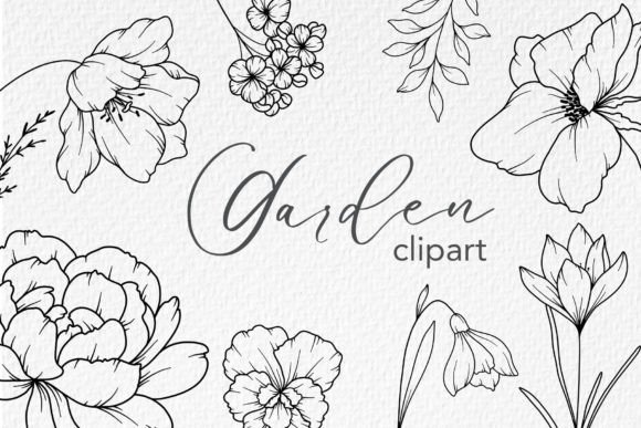 Download FLOWERS LINE DRAWING, Floral Line Art - Flora Collection