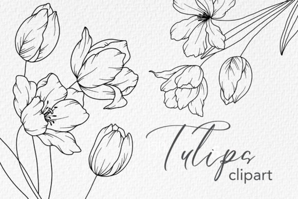 Download Tulips Line Drawing, Floral Line Art - Flora Collection