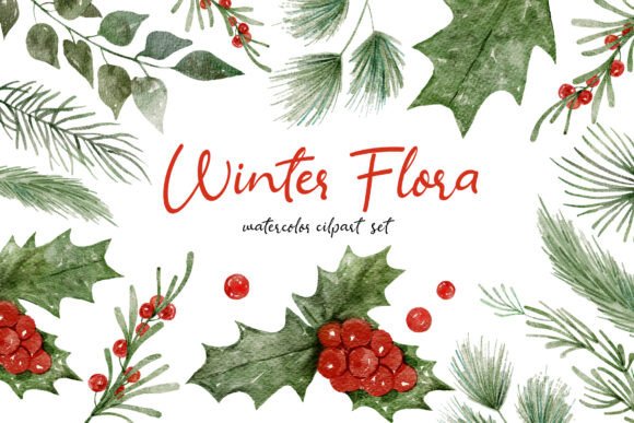 Download Winter Flora Watercolor Hand-drawn Set - Premium Bundle